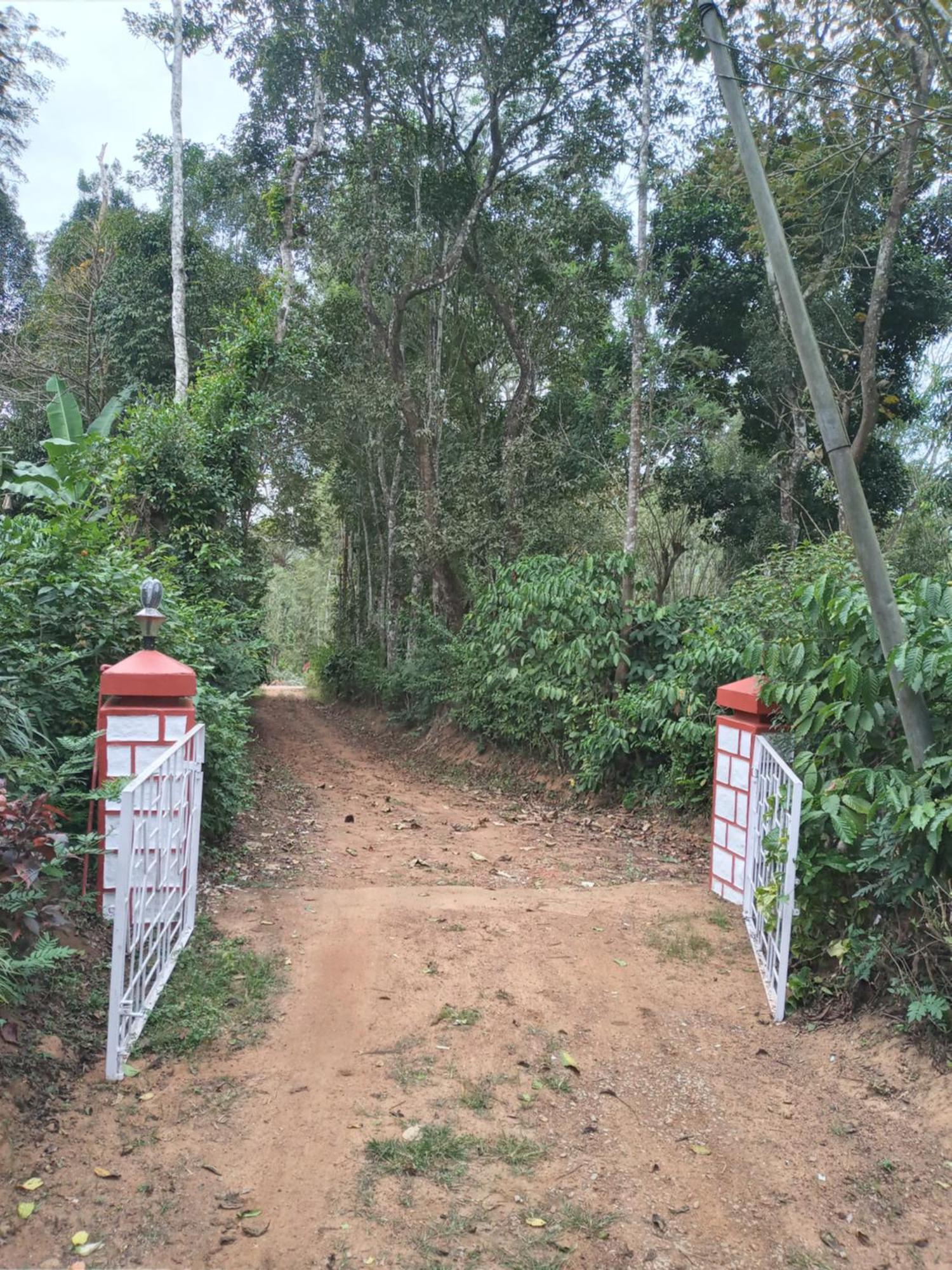 Coorg Klusters Estate